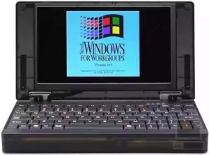 Pocket 386